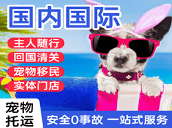 音布鲁克机场快递国际宠物托运 【国